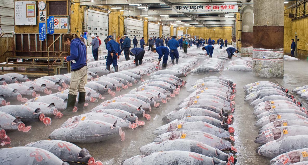 tsukiji-tuna
