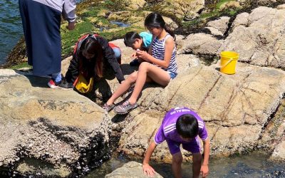 LINE_ALBUM_202561 Horseshoe Bay_250601_13